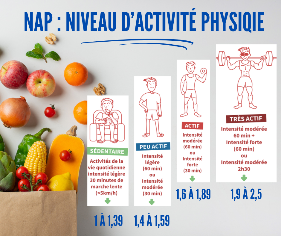 les fondamentaux 3NF