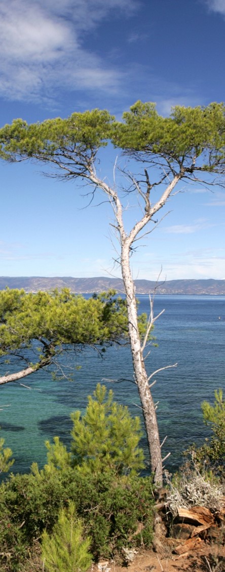Centre agréé bol d'air Jacquier